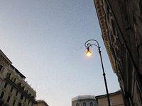 IMG 0166