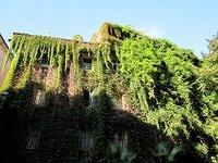 IMG 0192