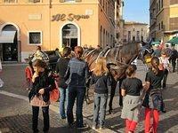 IMG 0373